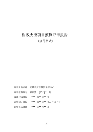 财政支出项目预算评审报告