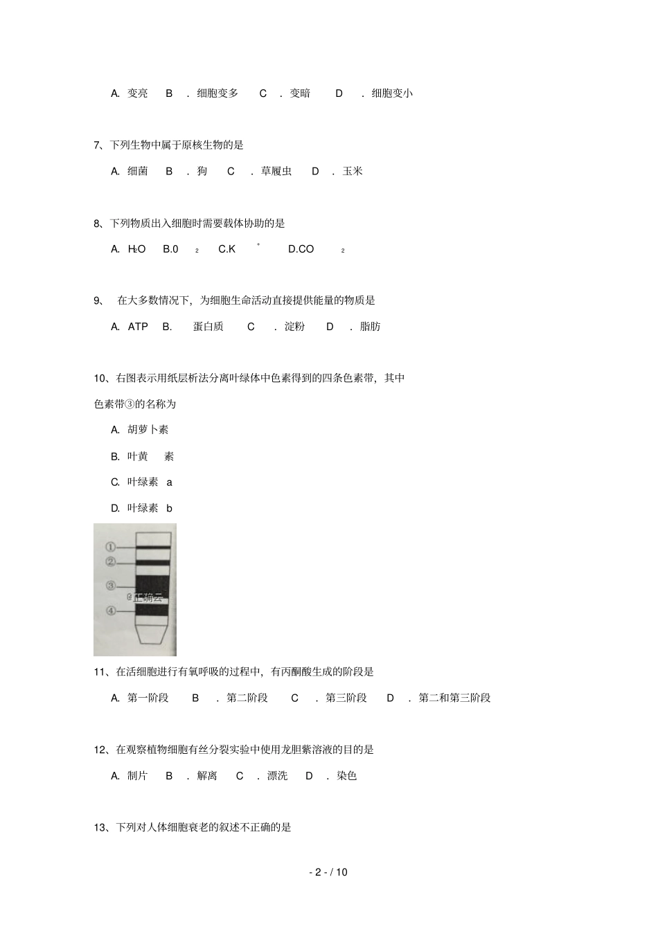 贵州贵阳三十八中2018_2019学年高二生物上学期11月月考试题无答案_第2页