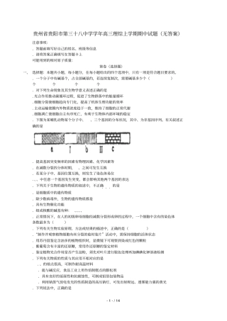 贵州贵阳第三十八中学2018_2019学年高三理综上学期期中试题无答案