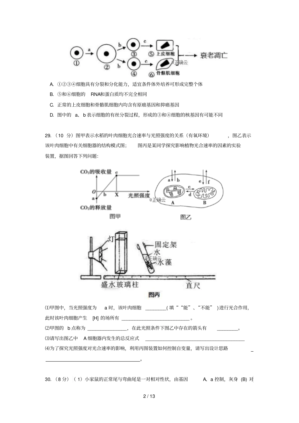 贵州遵义航天高级中学2019届高三生物第四次模拟考试试题_第2页