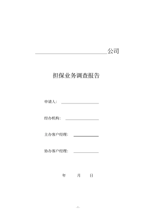 贷款担保业务调查报告模板