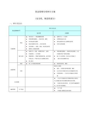 资金管理专项审计方案常规审计范例
