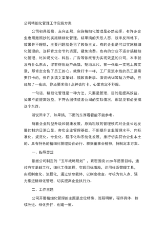 公司精细化管理方案