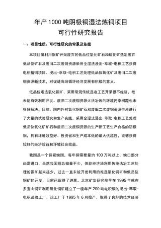 年产1000吨阴极铜湿法炼铜项目