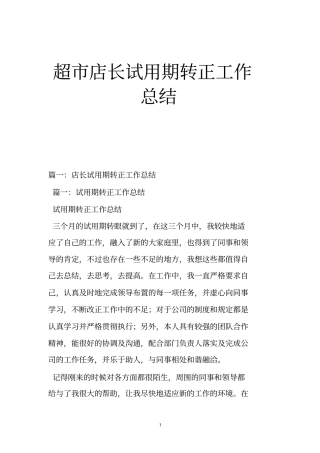 超店长试用期转正工作总结