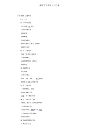 超开业筹备计划方案