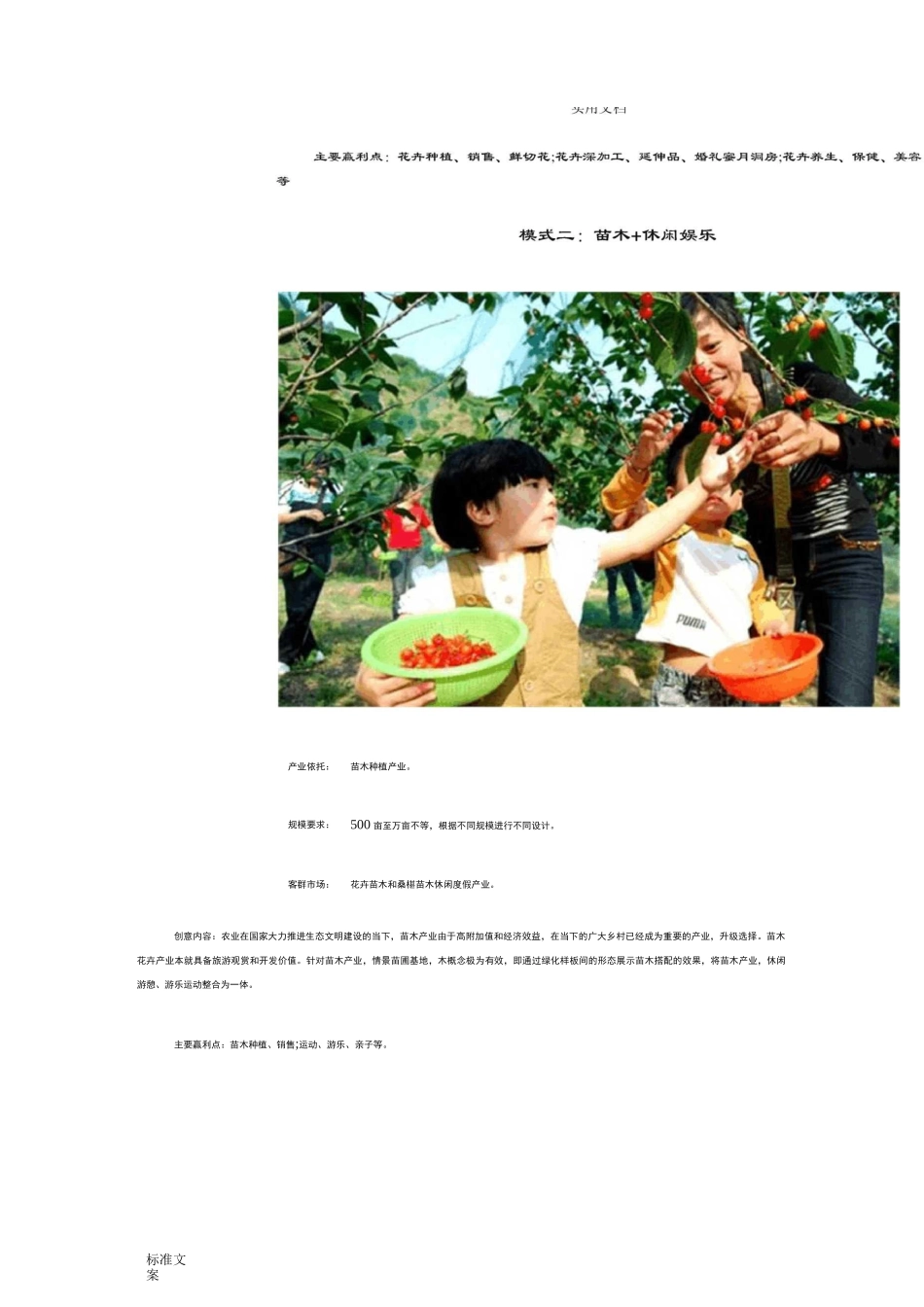 农旅融合十大创意模式_第2页