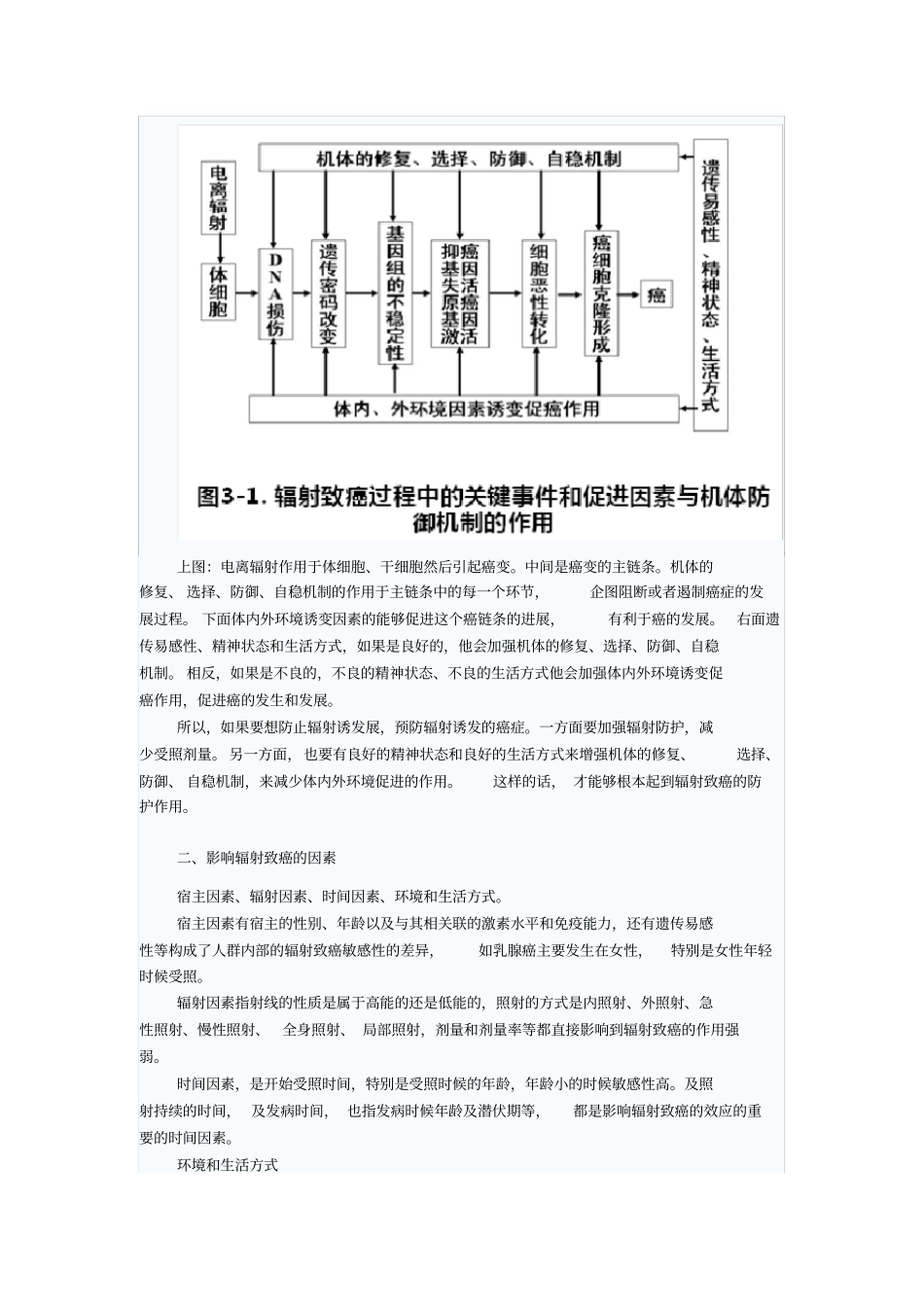 辐射致癌机制及影响辐射致癌的因素_第2页