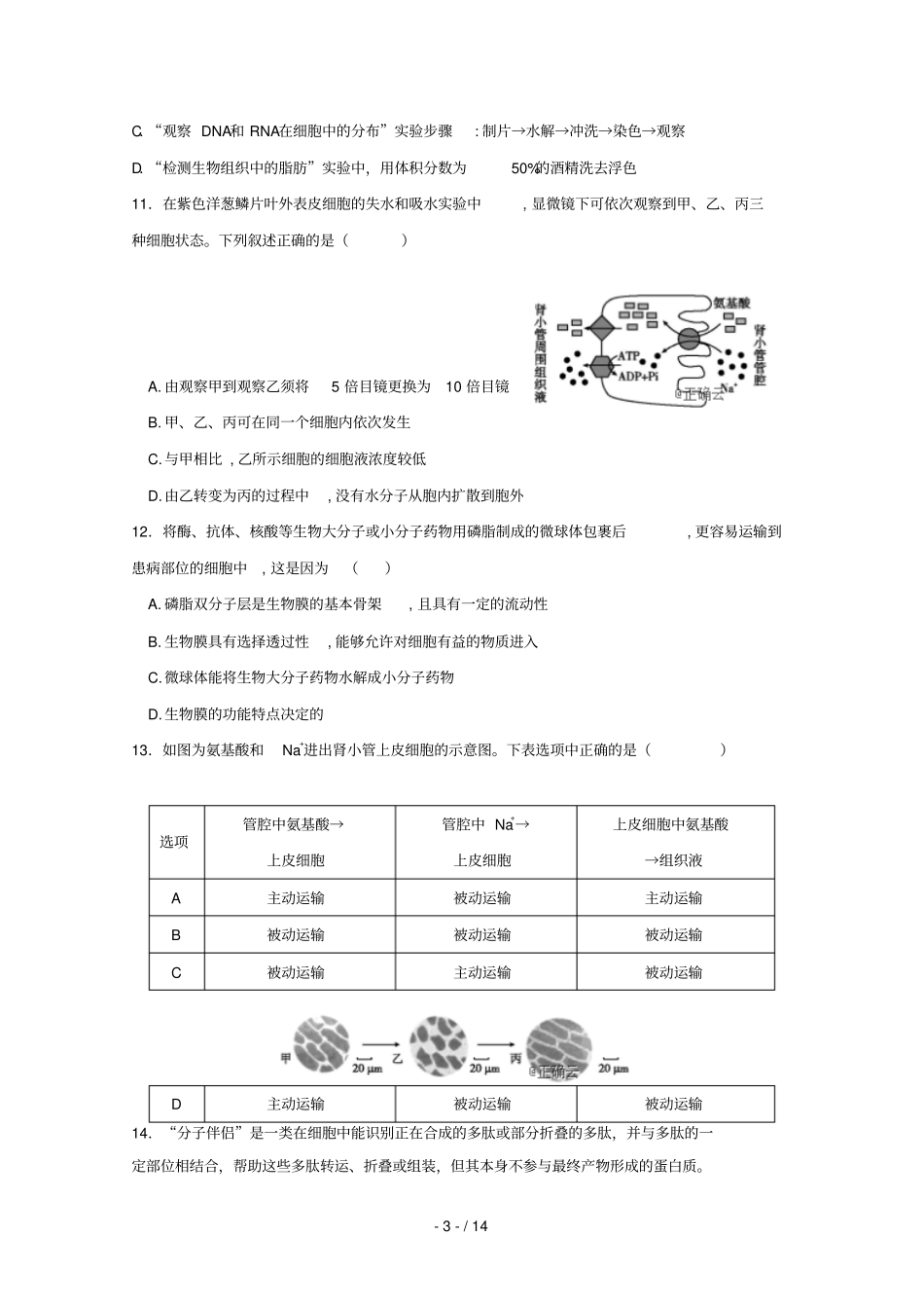 辽宁凤城第一中学2018_2019学年高二生物4月月考试题_第3页