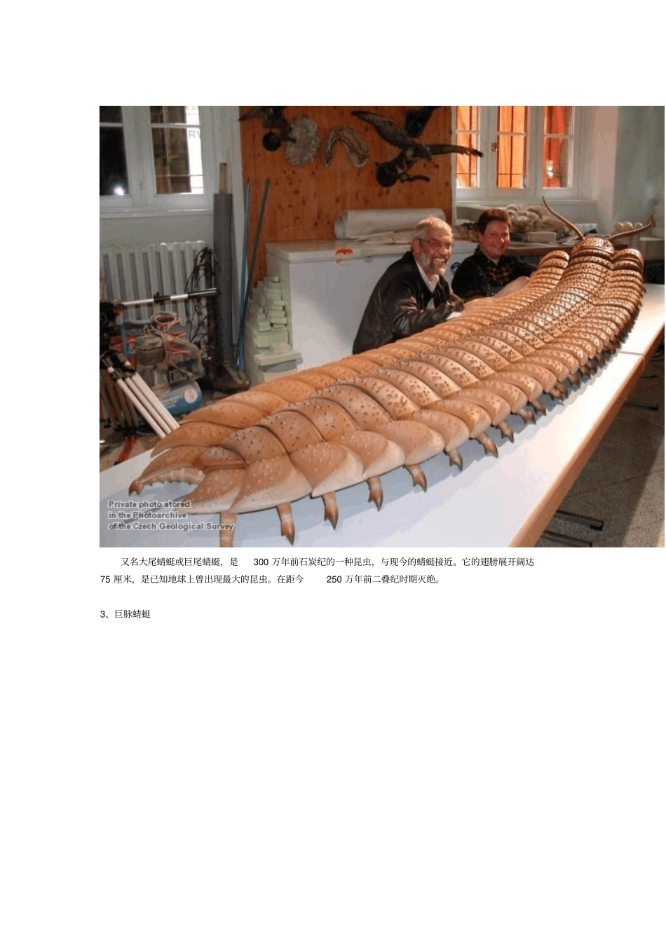 远古十大灭绝物种_第2页