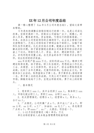 XX年12月公司年度总结