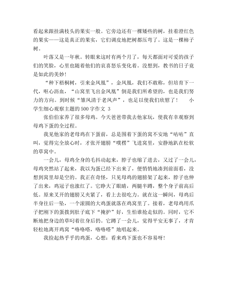 小学生细心观察主题的500字作文 _第2页