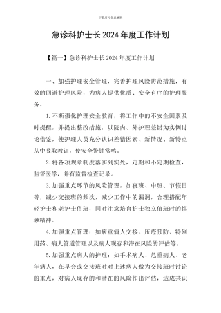 急诊科护士长2024年度工作计划