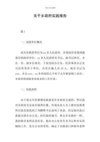 关于乡政府实践报告