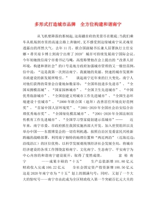多形式打造城市品牌　全方位构建和谐南宁 