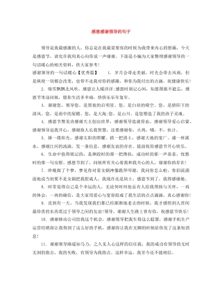 感恩感谢领导的句子 