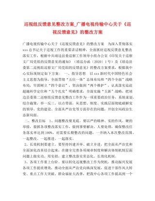 巡视组反馈意见整改方案_广播电视传输中心关于《巡视反馈意见》的整改方案 