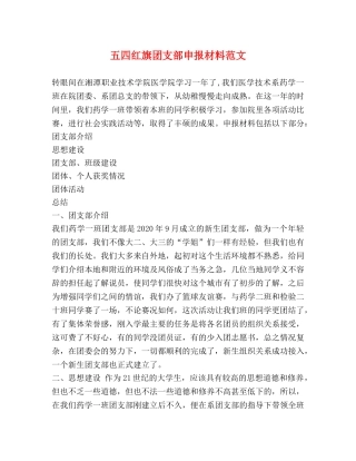 五四红旗团支部申报材料范文 