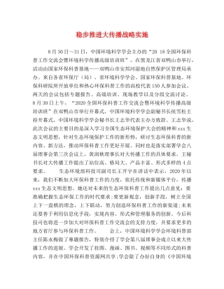 稳步推进大传播战略实施 