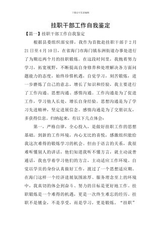 挂职干部工作自我鉴定
