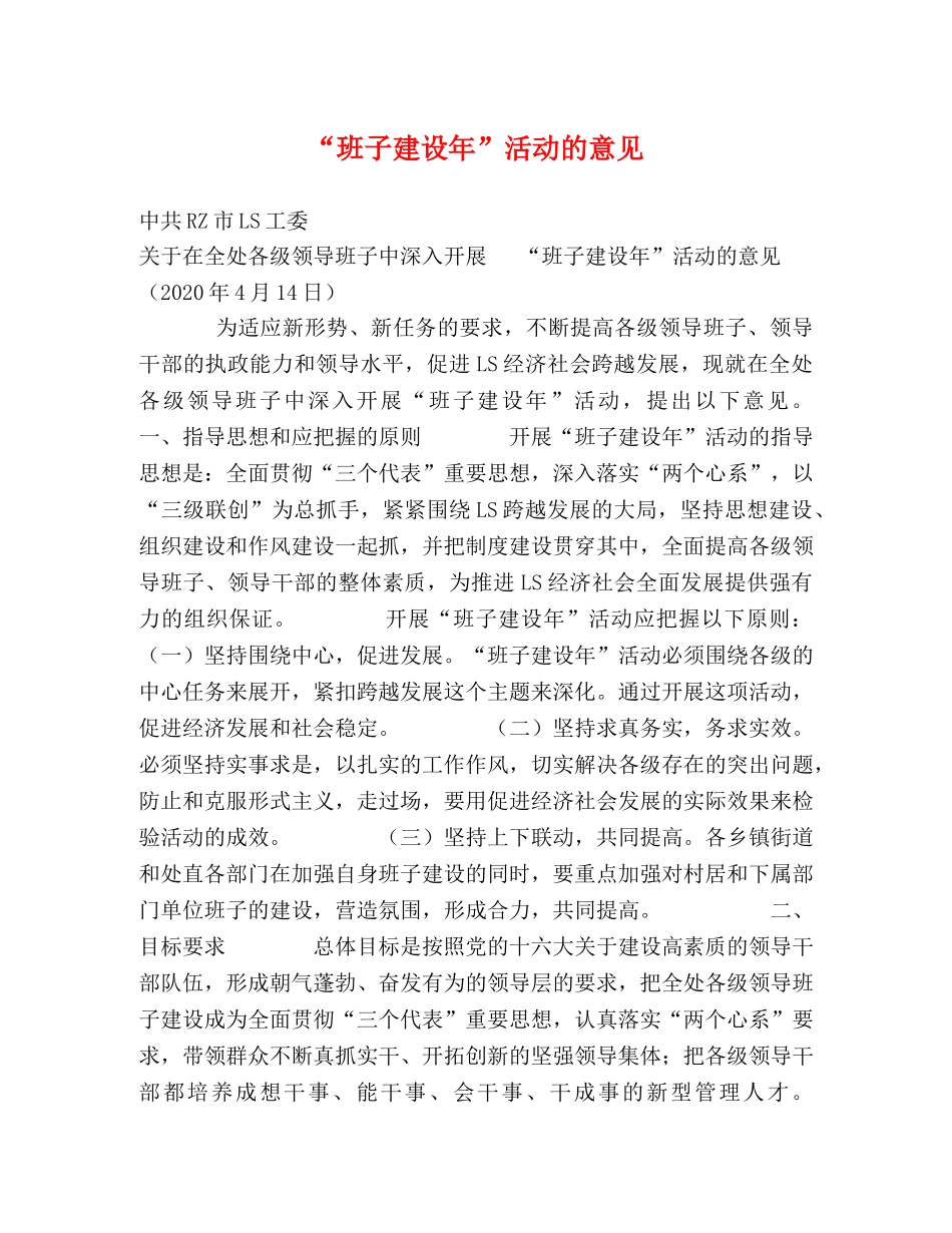 “班子建设年”活动的意见 _第1页