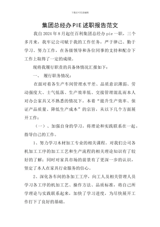 集团总经办PIE述职报告范文