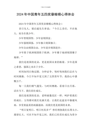 2024年中国青年五四奖章楷模心得体会