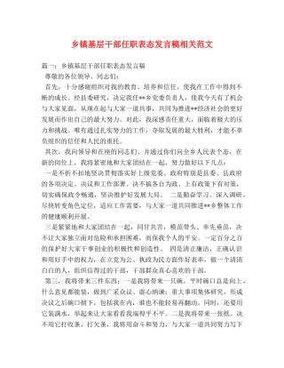 乡镇基层干部任职表态发言稿相关范文2 