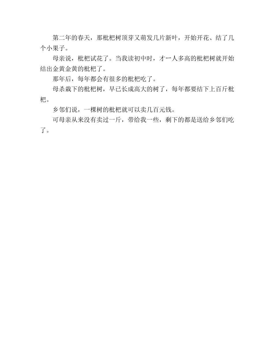 散文枇杷黄时 _第2页