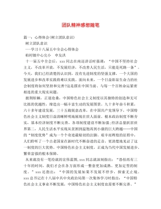 团队精神感想随笔 