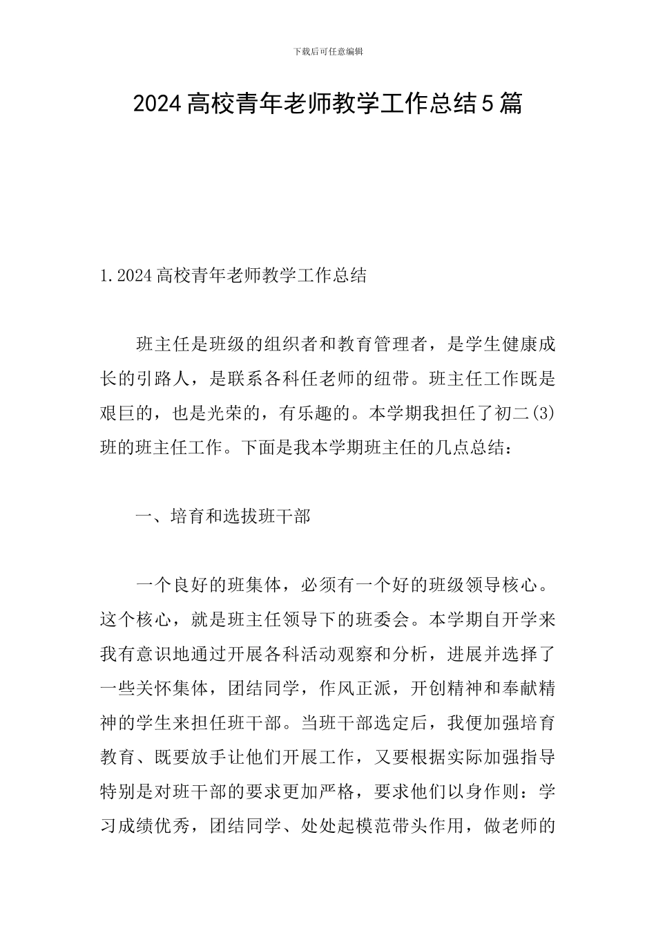 2024高校青年教师教学工作总结5篇_第1页