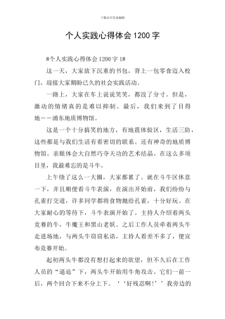 个人实践心得体会1200字