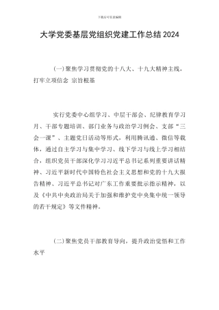 大学党委基层党组织党建工作总结2024