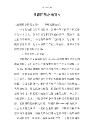 共青团员小结范文