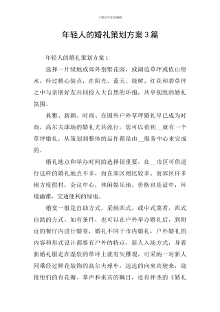 年轻人的婚礼策划方案3篇