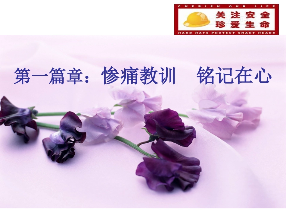 法制安全教育主题班会_第2页