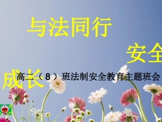 法制安全教育主题班会