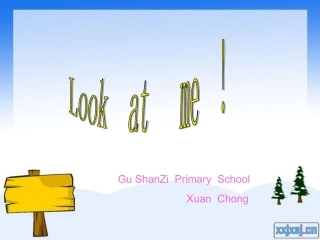孤山子小学轩冲
