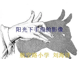 太阳下手指影像