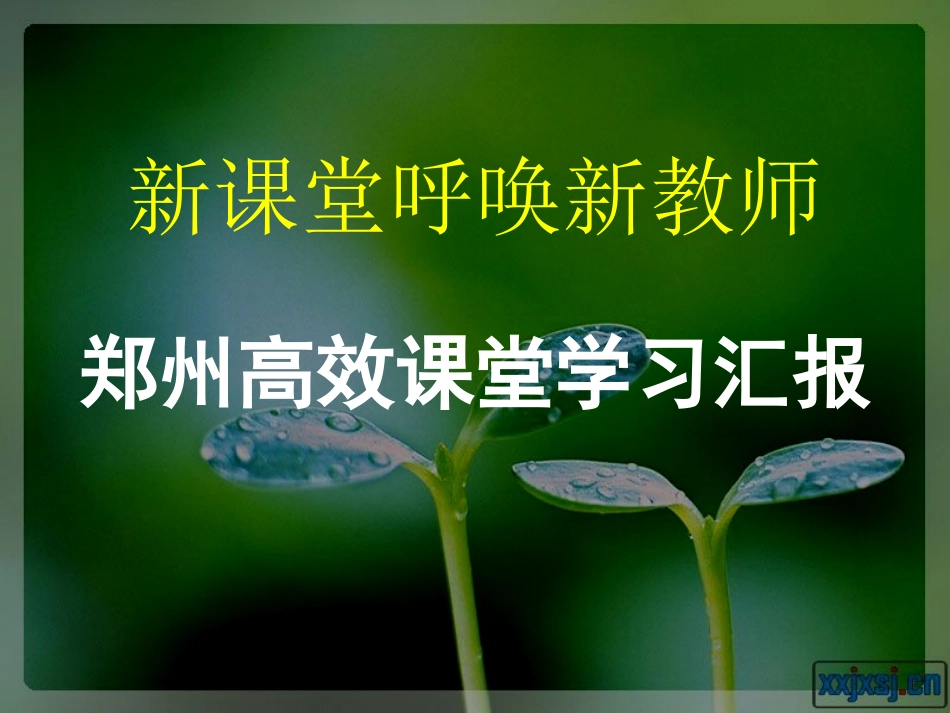 种子的梦课件_第2页