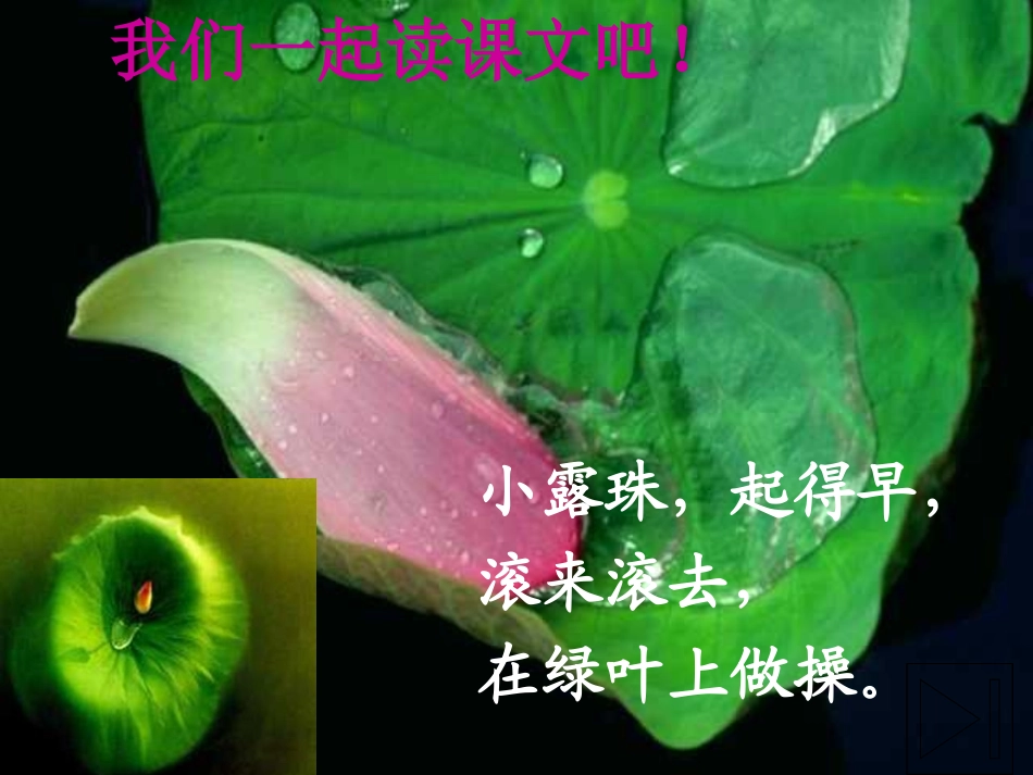 《早操》课件 (2)_第3页