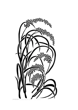 重工四校孙婷动物图片