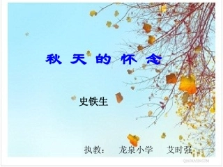 秋天的怀念(龙泉小学艾时强)