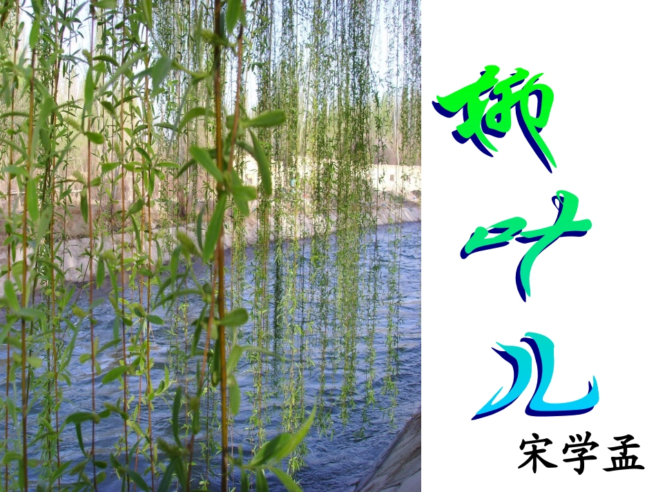 柳叶儿 (2)_第1页