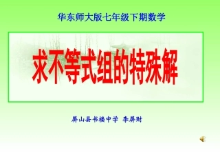 求不等式组的特殊解