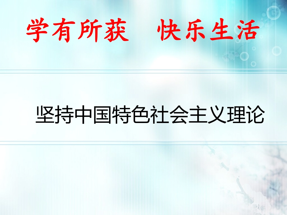 坚持中国特色社会主义理论_第1页