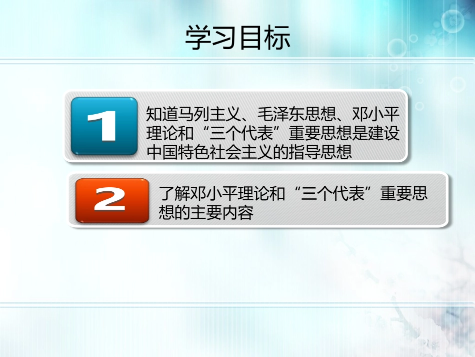 坚持中国特色社会主义理论_第2页