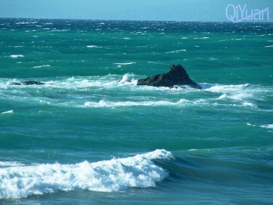 小学美术二年级下册五味瓶_第3页