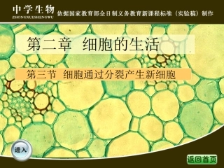 细胞分裂产生新细胞