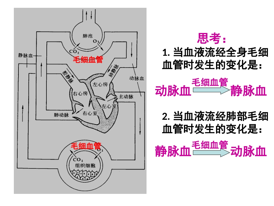 复习血液循环_第3页